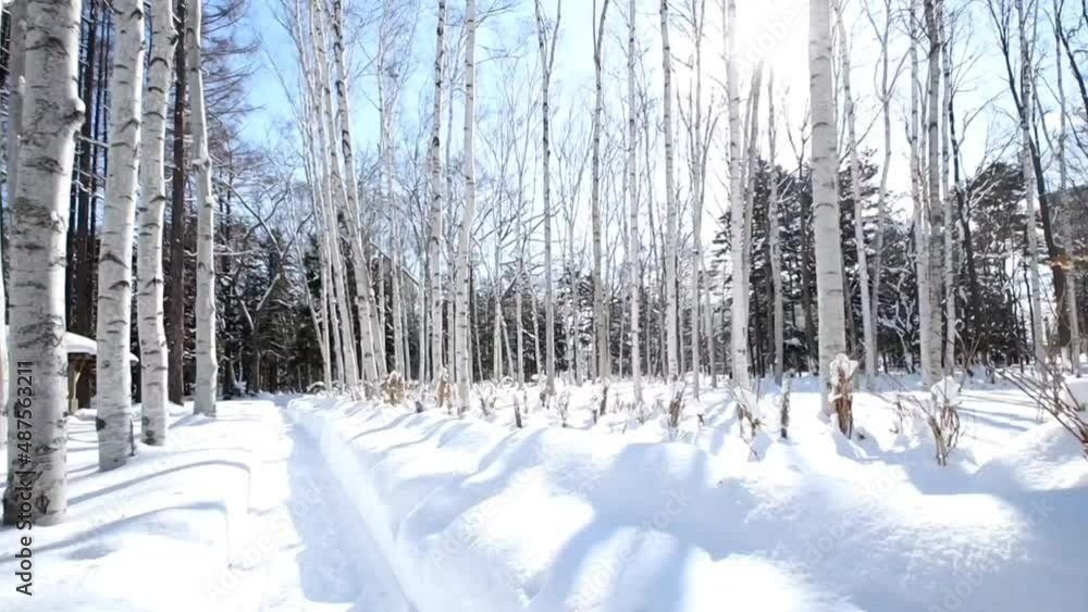 snow winter beautiful scenery 