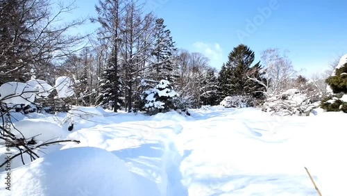 Wallpaper Mural snow winter beautiful scenery  Torontodigital.ca