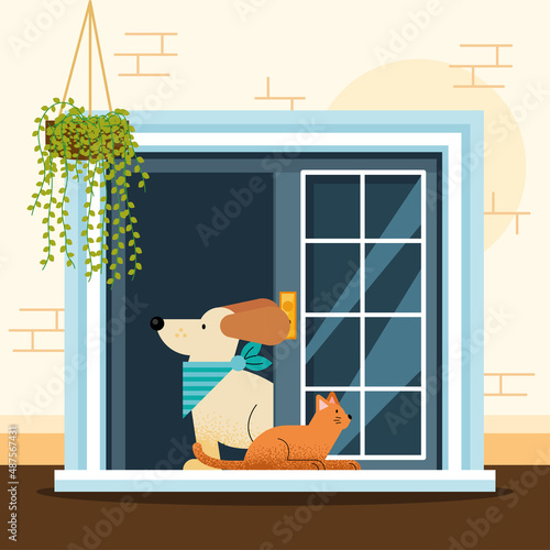 pets in window house