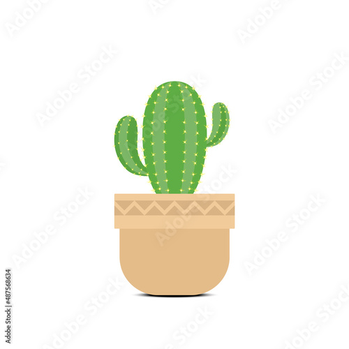 Cactus in flower pot flat illustration vector design isolated on white background. Botany illustration.