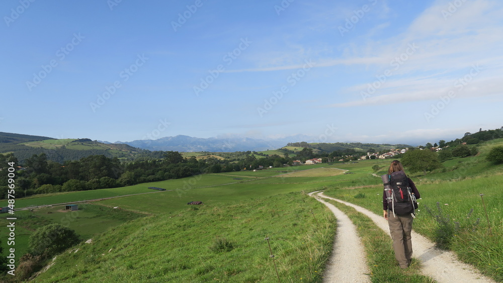 A sandy offroad path on the saint james way between fresh green meadows to the mountains Picos de Europa in Cantabria in north spain