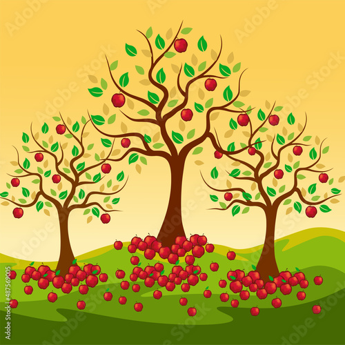 яблоня осенью, apple tree, autumn, harvest, tree