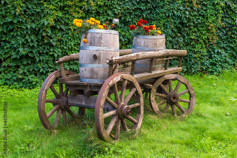 wooden barrels with blooming flowers on an old cart
