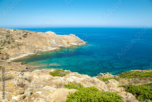 Il mare verde dell'Asinara