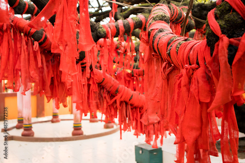 Red cloth piece tied in a banyan tree by the devotees