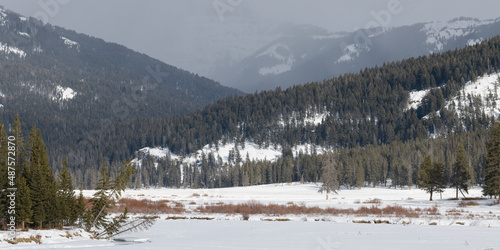 Winter landscapes of Yellowstone National Park in Wyoming
