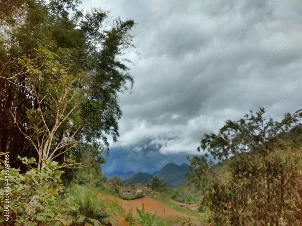 Obraz premium clouds over the forest
