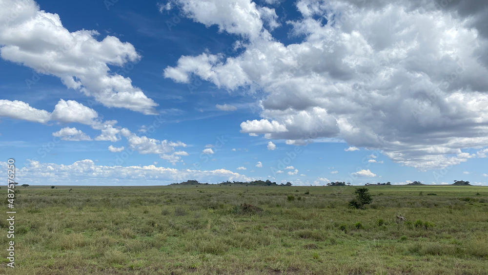 The beautiful nature of Africa. Panorama of the vast expanses of Tanzania. Amazing landscape.
