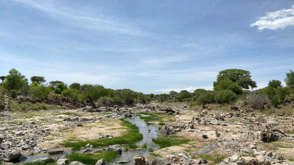 Little river. Amazing landscapes of Africa. Serengeti National Park. Beautiful nature.