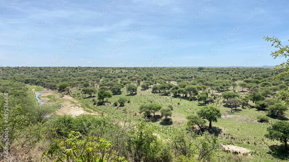 Panorama of the vast expanses of Tanzania. Green Valley. Amazing landscapes of Africa.