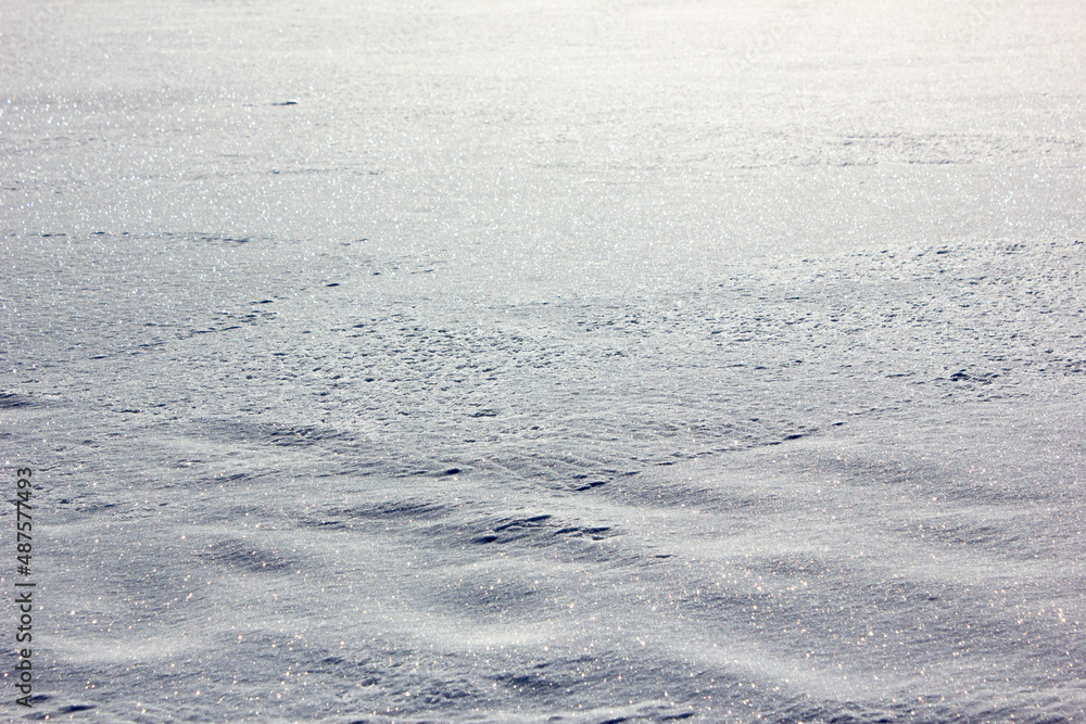 Naklejka premium The Snow close-up. Snowdrifts close-up. White snow on the surface. Winter.