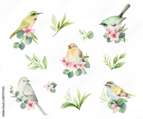Watercolor set of birds with flowers.