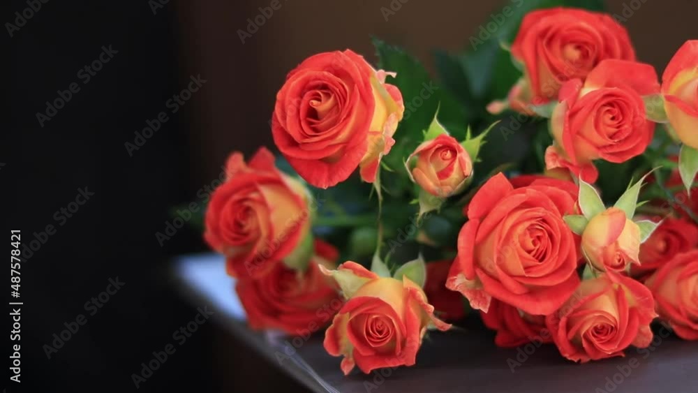Shrub roses on the table Shrub roses on the table