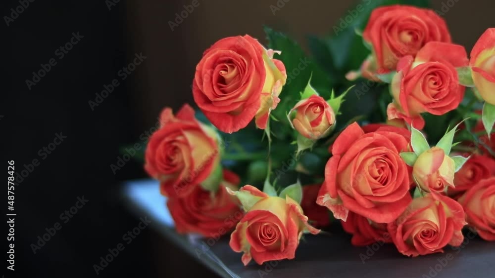 Shrub roses on the table Shrub roses on the table