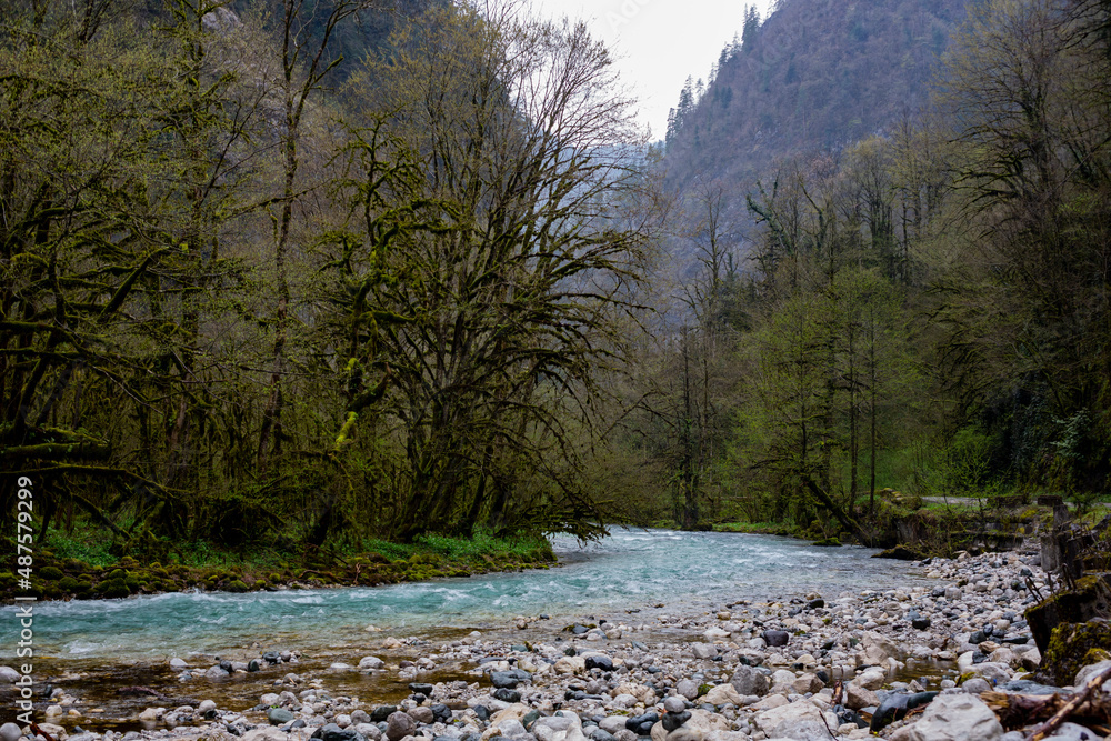 mountain river between sheer cliffs . blue clear water of the river. Young green leaves of trees on the river bank
