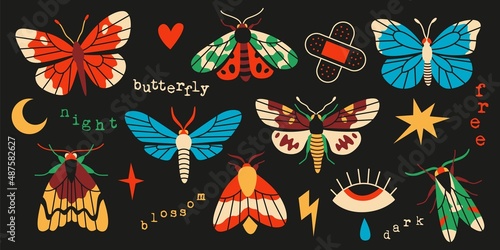 Butterfly and moth vector illustration black background