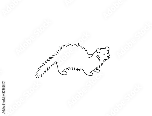 Vector isolated cute cartoon shaggy disheveled ferret colorless black and white contour line doodle drawing