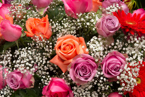 Beautiful roses that are decorated in various events