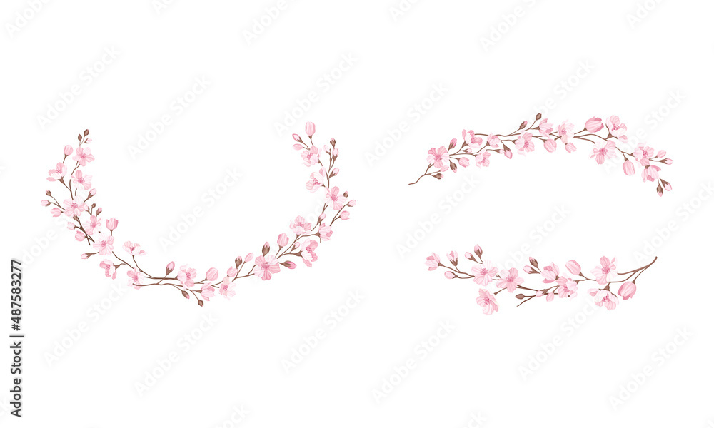 Twigs of Sakura or Cherry Blossom in Semicircle Vector Illustration Set Twigs of Sakura or Cherry Blossom in Semicircle Vector Illustration Set