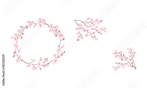 Twigs of Sakura or Cherry Blossom Arranged in Wreath Vector Illustration Set