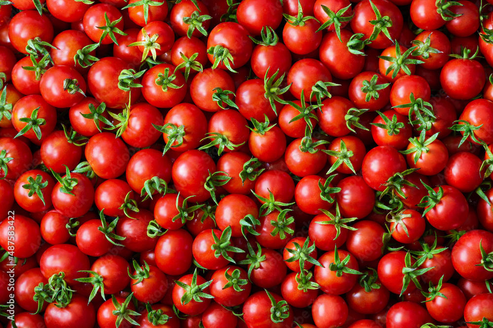 Background of round ripe small cherry tomatoes with green ponytails Background of round ripe small cherry tomatoes with green ponytails