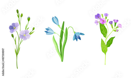 Violet Flower or Blossom on Leafy Stalk or Stem Vector Illustration Set