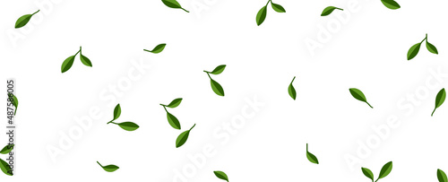 green leaves background pattern 
