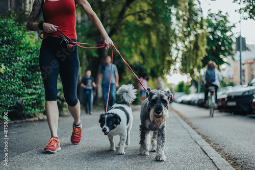 Photography Unrecognizable woman walking her dogs on a leash in the city
