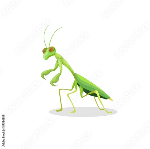 praying mantis animal figure character cartoon illustration vector