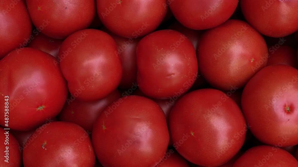 Fresh Red Tomatoes On The Market Counter. Fresh Red Tomatoes On The Market Counter.