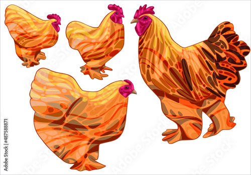 The set of hand-drawn chickens. The breed of buff cochin