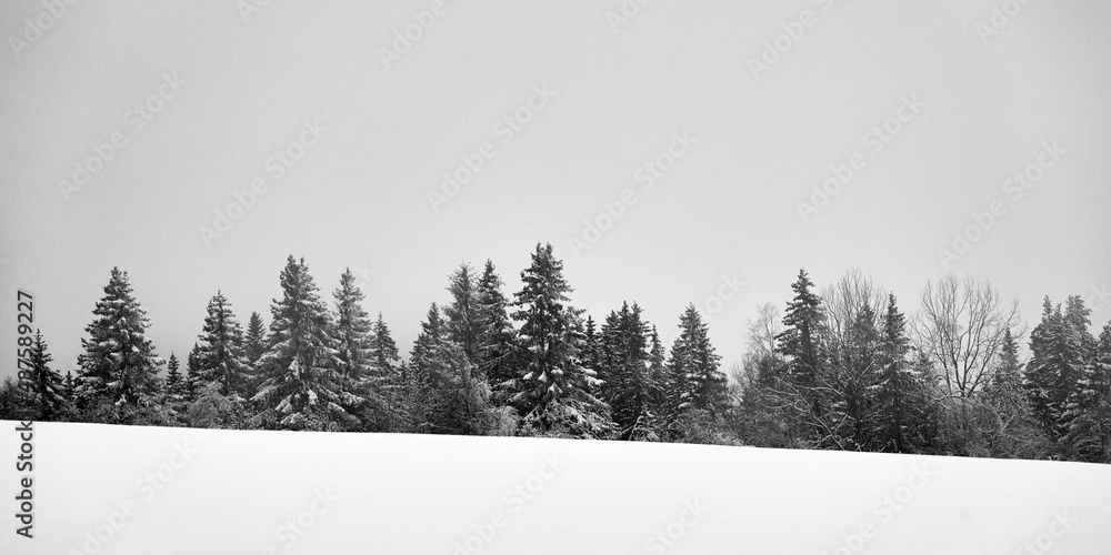 Naklejka premium Winter forest by Olterudelva River, Toten, Norway.