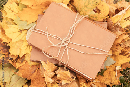 A stack of books lies on a heap of autumn leaves