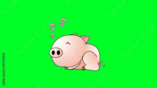 Cartoon Pig Animation with Green Screen