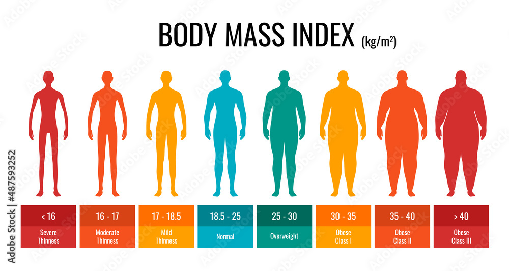 BMI classification chart measurement man set. Male Body Mass Index infographic with weight status from underweight to severely obese. Medical body mass control graph. Vector eps illustration - obrazy, fototapety, plakaty 