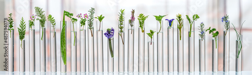 Scientific experiments on medicinal plants