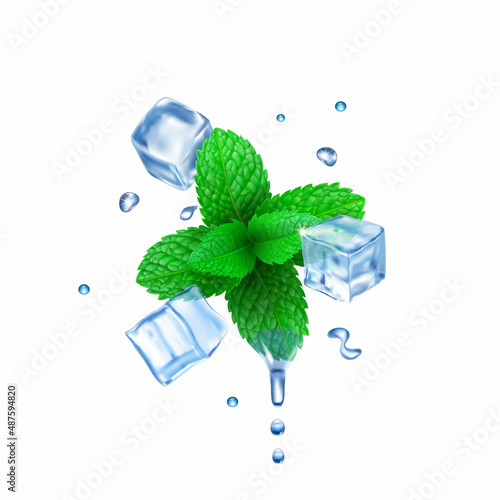 Vector fresh mint leaves and transparent ice cubes isolated. Frozen water, mint, drops and ice realistic vector