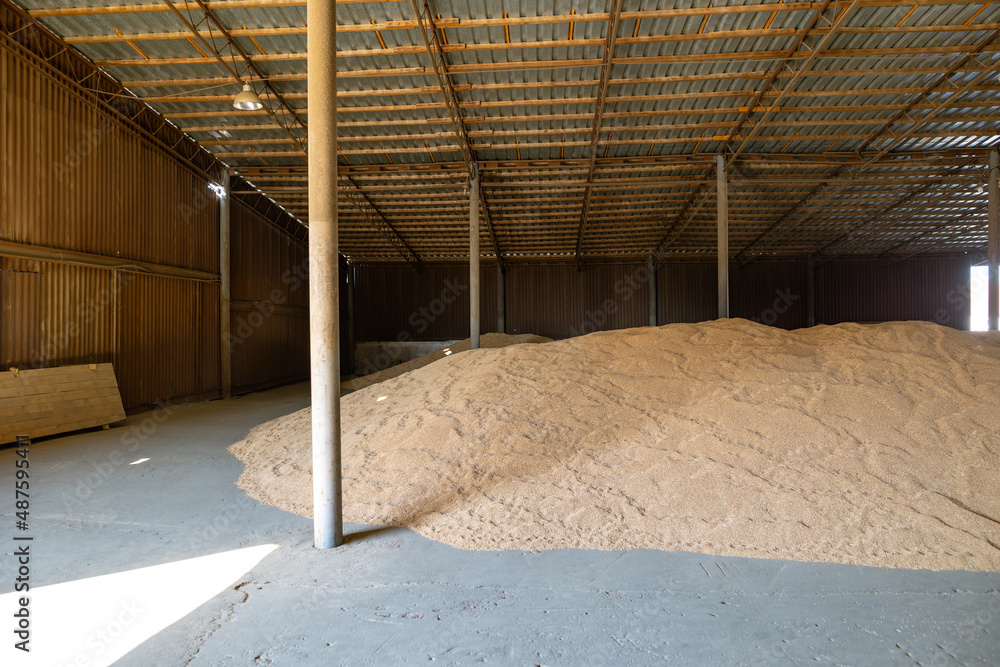 Piles of wheat grains at mill storage or grain elevator. The main commodity group in the food markets. Piles of wheat grains at mill storage or grain elevator. The main commodity group in the food markets.