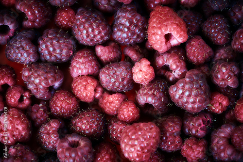 Raspberries close up. Sweet raspberry. Raspberry texture background. Top view of heap of raspberry pattern.