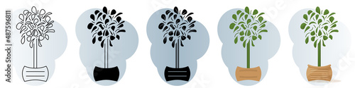 A homemade potted plant. High stem, small leaves, round crown. Vector icon, contour, silhouette, glyph, flat simple and complicated, abstract background with gradient, isolated