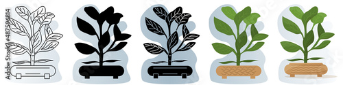 A homemade potted plant. Large dense leaves, oval pot. Vector icon, contour, silhouette, glyph, flat simple and complicated, abstract background with gradient, isolated