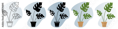 A homemade potted plant. Large leaves with a slit on their own stem. Vector icon, contour, silhouette, glyph, flat simple and complicated, abstract background with gradient, isolated