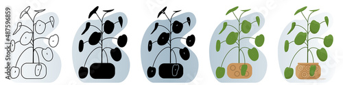 A homemade potted plant. Round leaves in the shape of a bowl on a thin stem. Vector icon, contour, silhouette, glyph, flat simple and complicated, abstract background with gradient, isolated