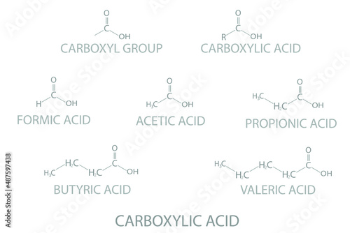 Carboxylic acid molecular skeletal chemical formula. photo
