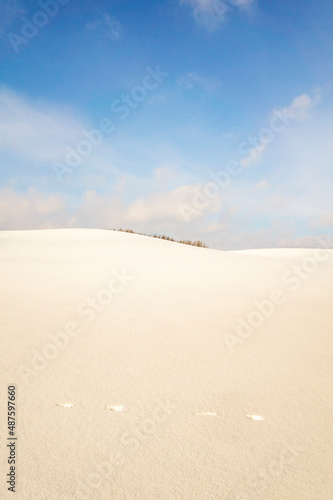 Beautiful empty winter landscape. White plains  fields and meadows on a frosty sunny day. Calm polar background for design and tourist advertising