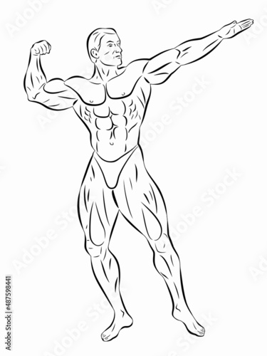 illustration of bodybuilder , vector drawing