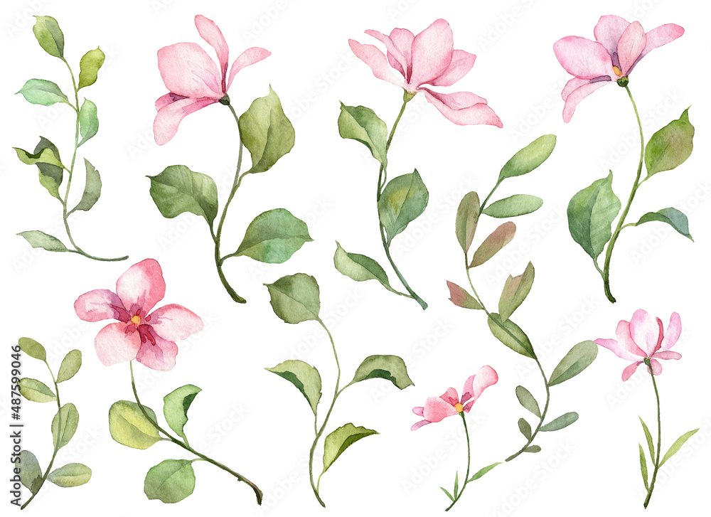 Big set with watercolor botanical illustrations isolated on white background. Hand painted pink flowers and green leaves