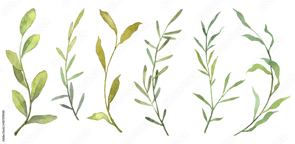 Set of watercolor hand painted green leaves on twigs isolated on white background. Realistic botanical objects. Hand drawn botany plants Set of watercolor hand painted green leaves on twigs isolated on white background. Realistic botanical objects. Hand drawn botany plants