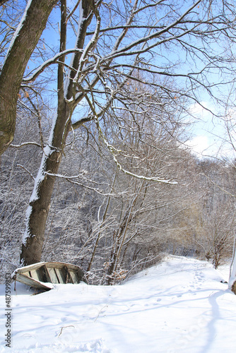 winter landscape with forest and lake