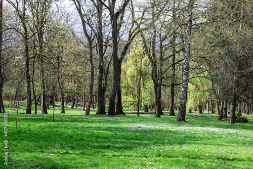 view of blooming city public park